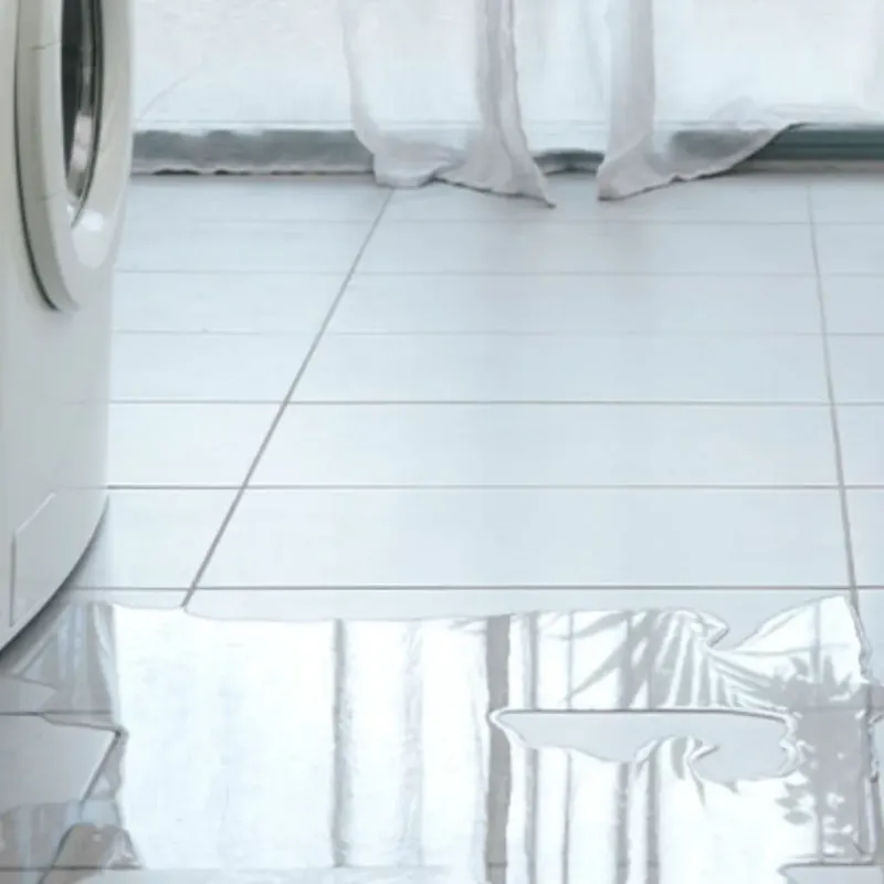 Appliance Leak Cleanup in Cadiz, KY