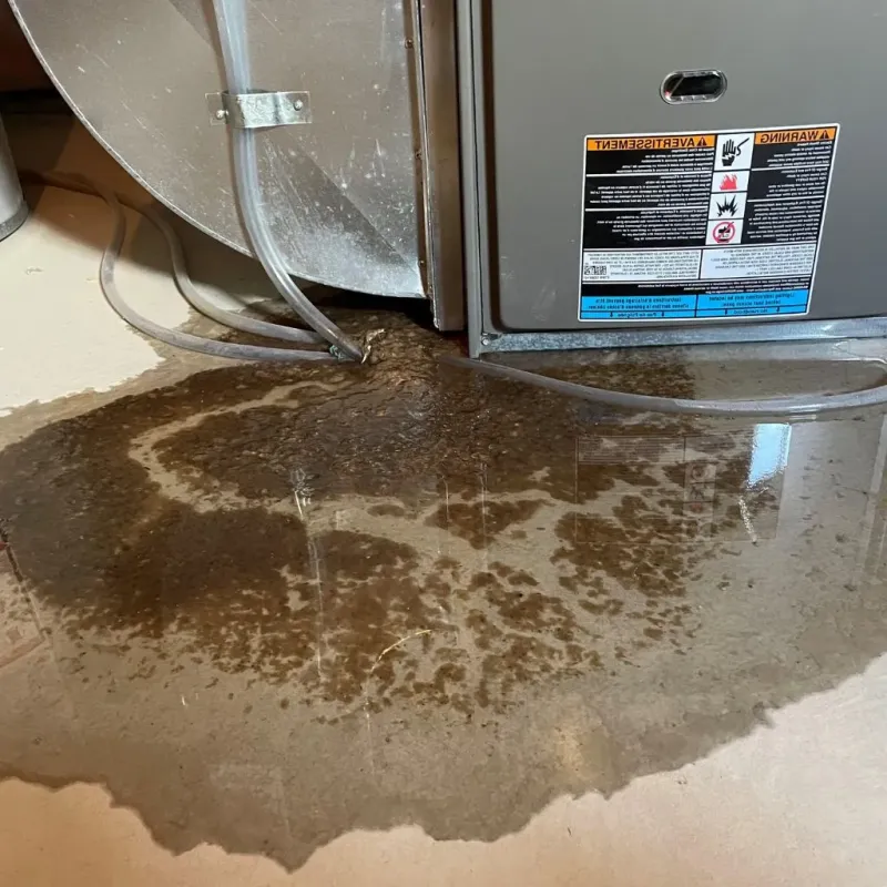 Pipe Burst and Leak Restoration in Cadiz, KY