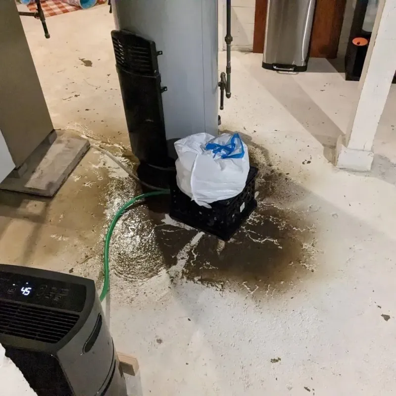 Sewage Backup Cleanup Service in Cadiz, KY